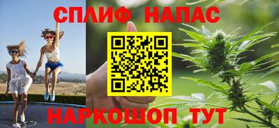 сатива Малгобек