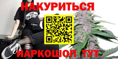 сатива Малгобек