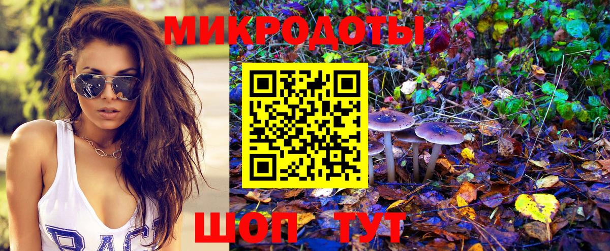 Галлюциногенные грибы Psilocybe Ижевск